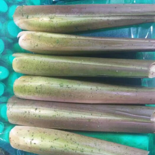 上海 精品茭白
