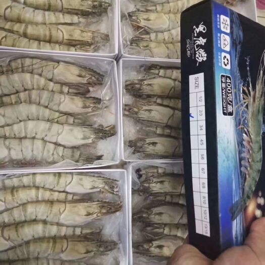 秦皇岛斑节虾 越南大规格黑虎虾，