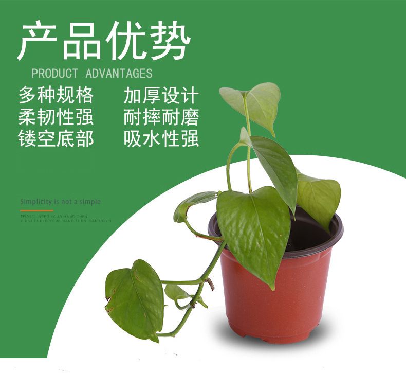 双色多肉花盆 绿植园艺用品软吸塑料pp简易育苗盆塑料双色小