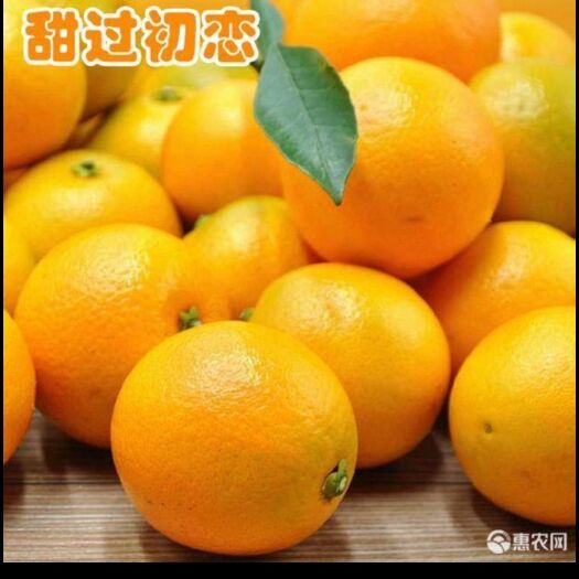 麻阳县麻阳冰糖橙，甜，脆，汁多，，