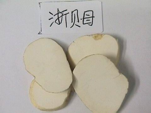 成都优选中药材药用食疗平贝母浙贝母多种规格可选
