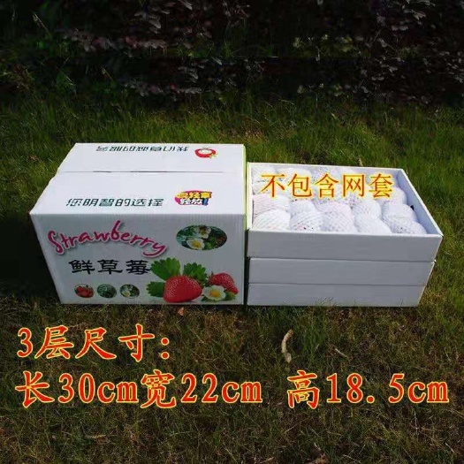 成都草莓包装盒 草莓包装定制