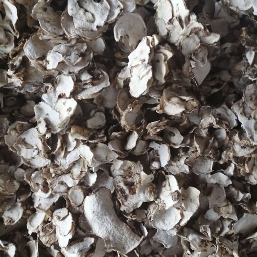 富源县魔芋干片  可做魔芋豆腐   可打魔芋精粉