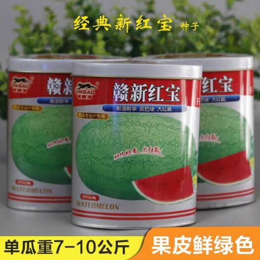 樟树市 赣新红宝西瓜种子果型特大长椭圆抗病强抗裂绿皮大红瓤中熟品种