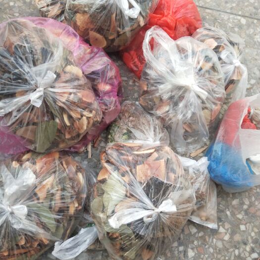 河池回心草（药材） 脑梗塞，脑血栓，半偏瘫