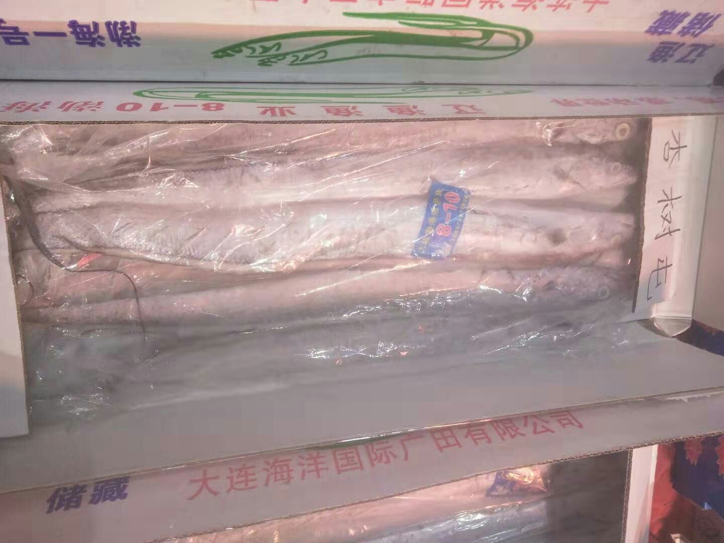 山东青岛刀鱼 家里有货需要联系