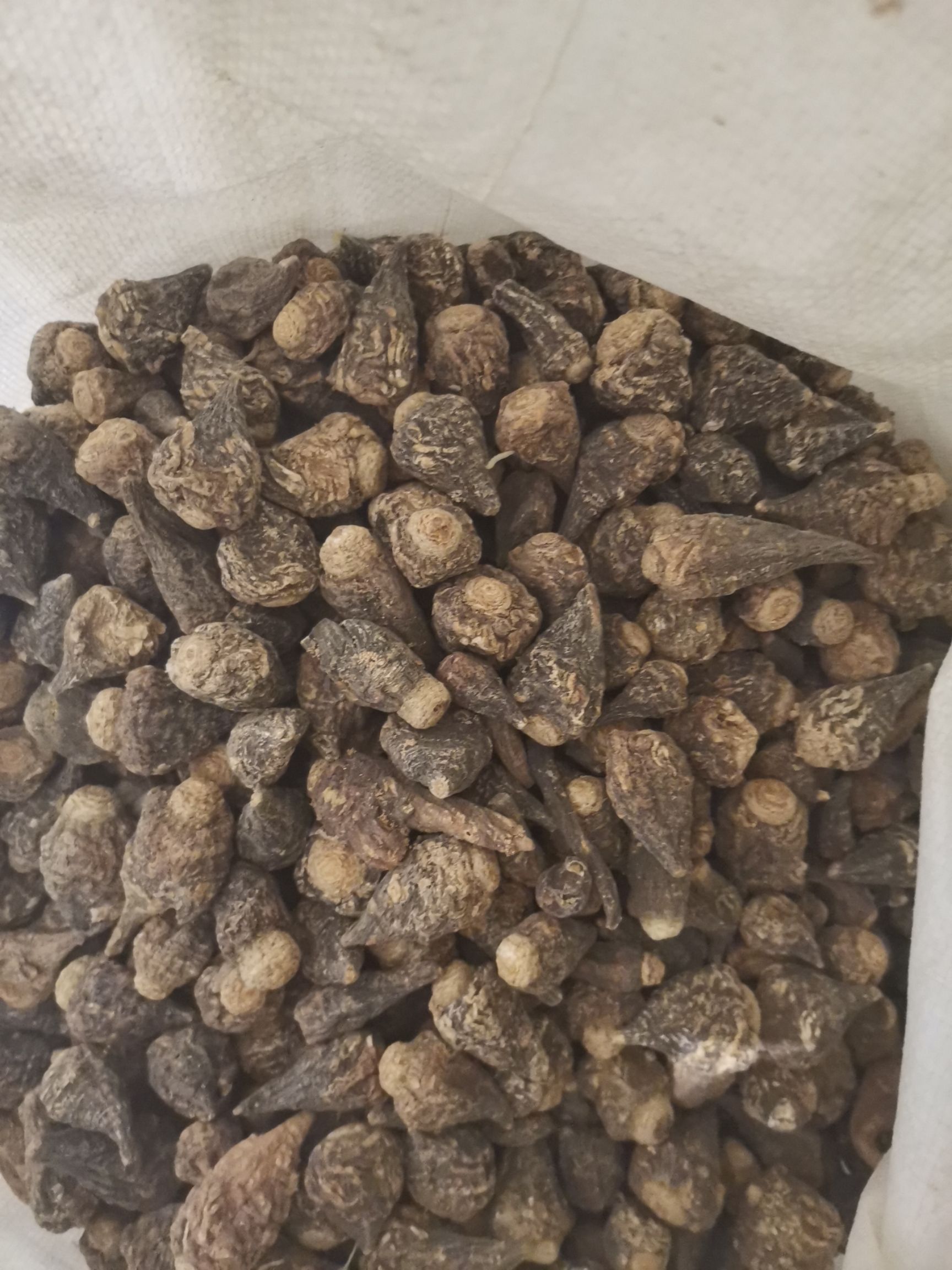 黑玛咖 丽江高海拔玛卡