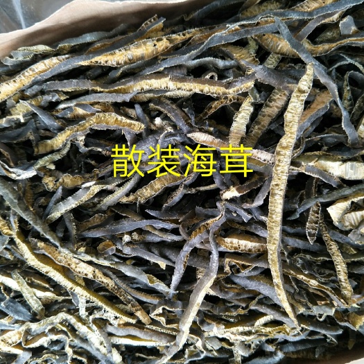 海茸丝，酒店专用。火锅砂锅凉拌。