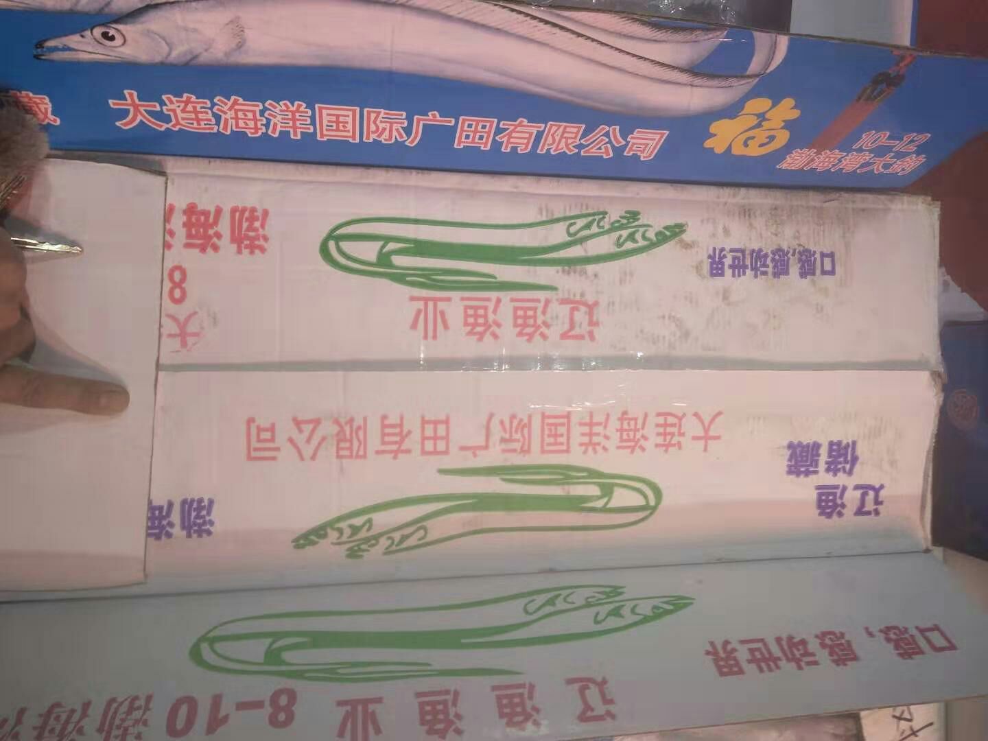 山东青岛刀鱼 家里有货需要联系