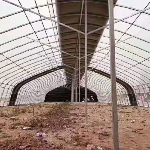 天津钢管大棚 价格美丽欢迎询价.