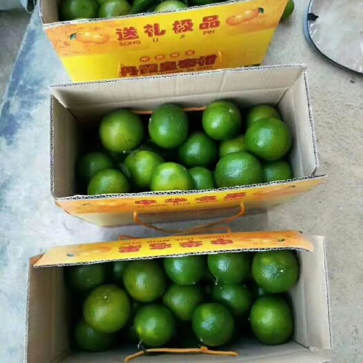 仁化县 丹霞贡柑皇帝柑