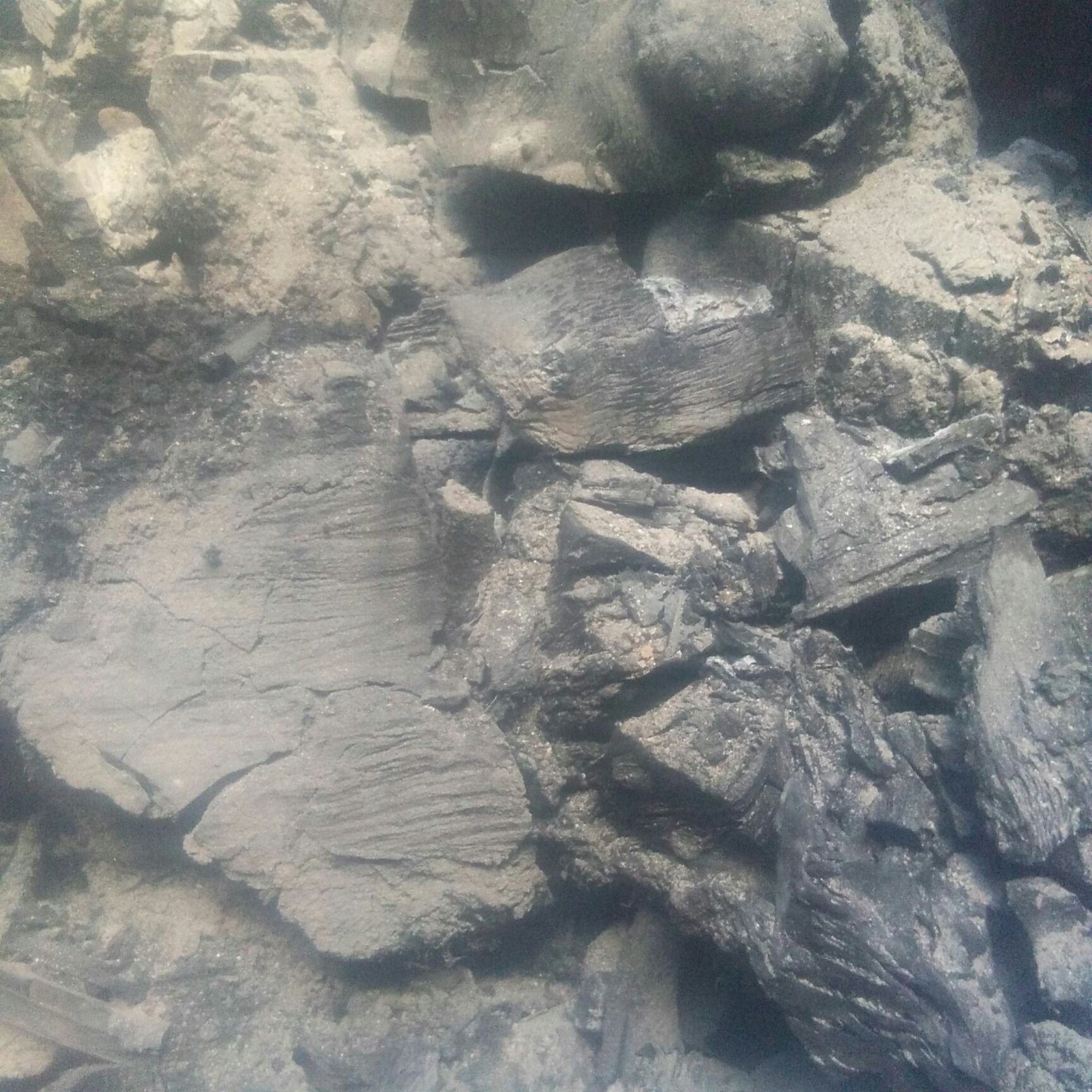 干杂木 土窑木炭(杂木炭)