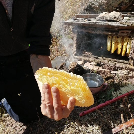 野生蜂蜜  蜂蜜