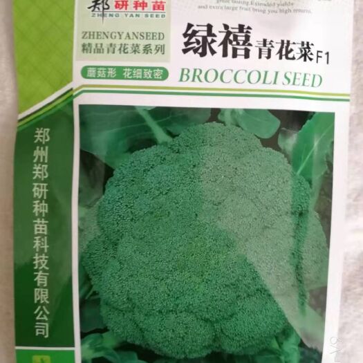 夏邑县青花菜种子  优质高产西蓝花种子，抗病抗重茬能力强，产量高