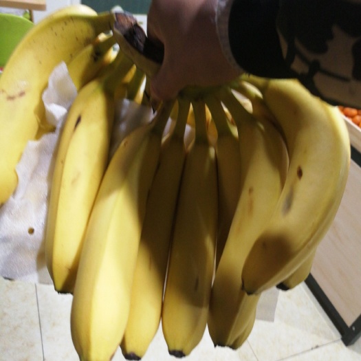  香蕉