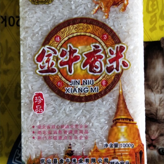 京山市 大米