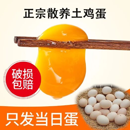 衡南县 正宗生态散养三黄土鸡蛋.新鲜.产地直销30个/箱包邮