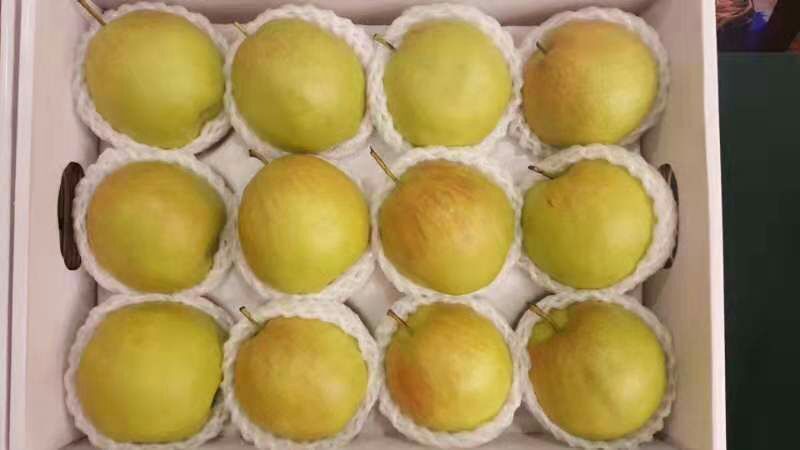 隰县玉露香梨 品质口感都很好，营养丰富