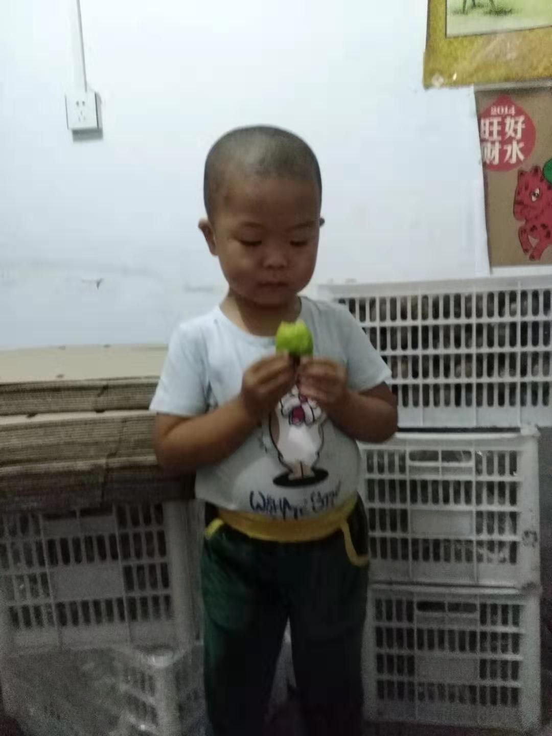 亚特猕猴桃 100~120克