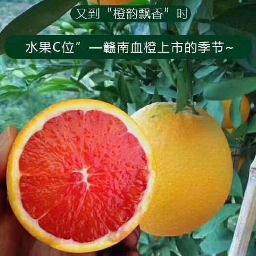 寻乌县塔罗科血橙 赣南血橙上市了！