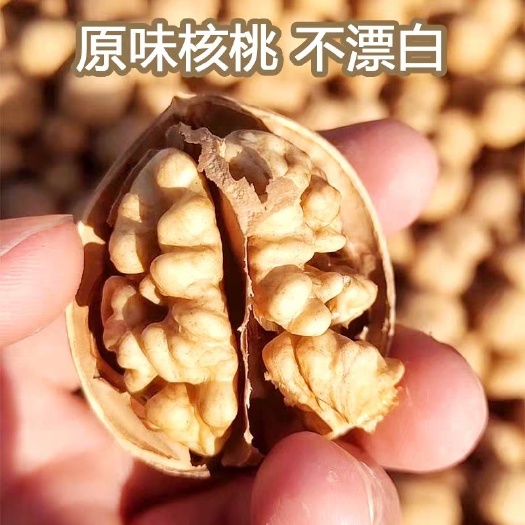 库尔勒市薄皮核桃  185纸皮核桃 品质货