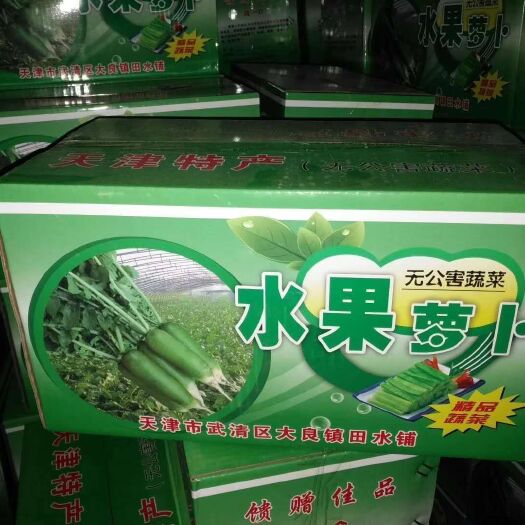 天津 天津市武清区田水铺水果萝卜
