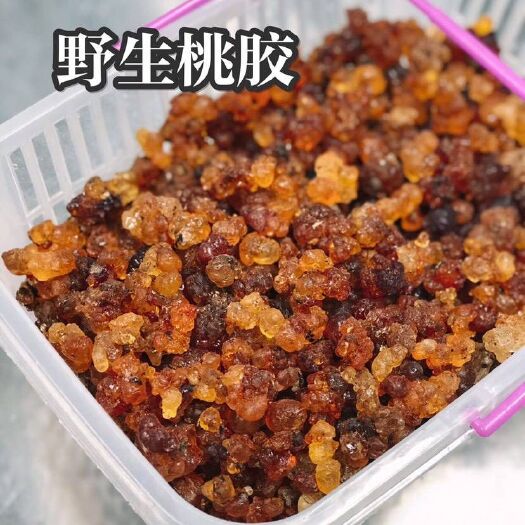 深圳 野生桃胶大量批发质优价廉