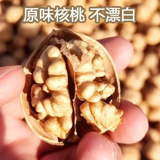 库尔勒市薄皮核桃  185纸皮核桃  上等好货