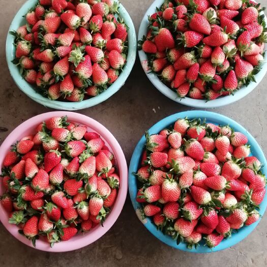 徐州奶油草莓 量大，香甜可口