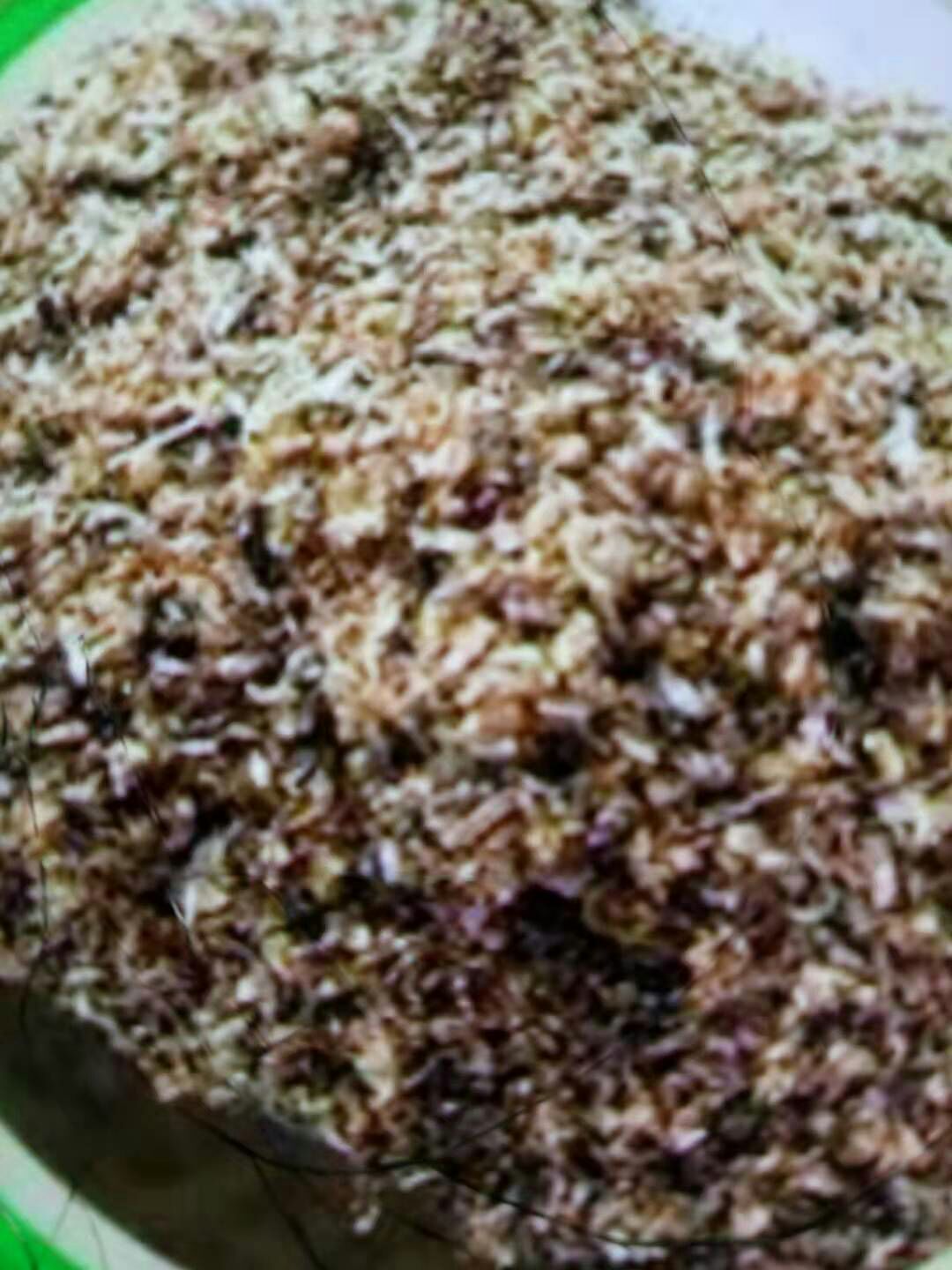 艾草种子，精品