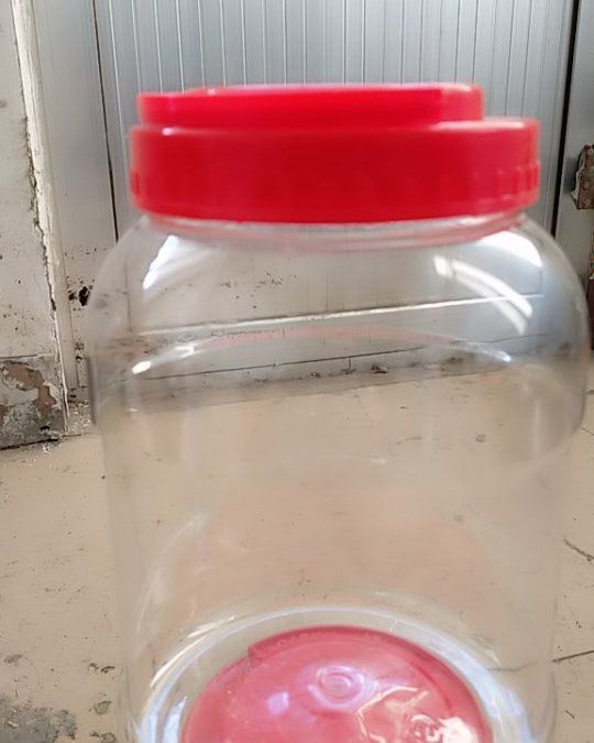  鹅蛋专用桶