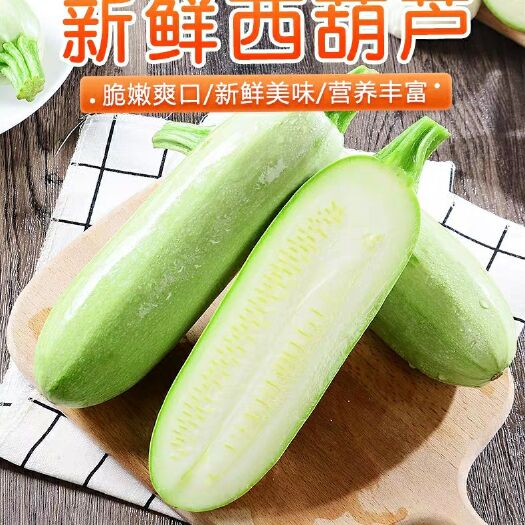 射阳县 西葫芦占瓜大量新鲜上市