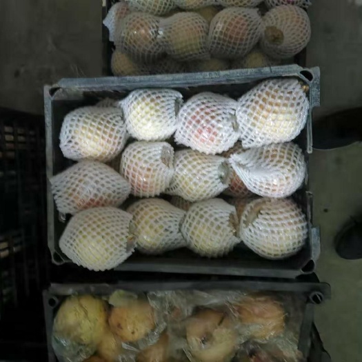西安 临潼石榴，正宗的临潼石榴