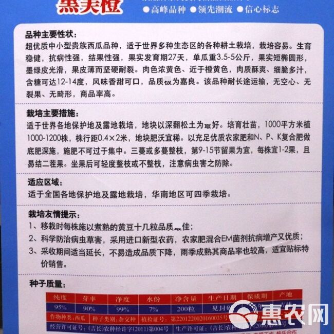  超甜浪潮黑美橙礼品西瓜种子 黑皮橙瓤橙肉口感甜脆 四季水果