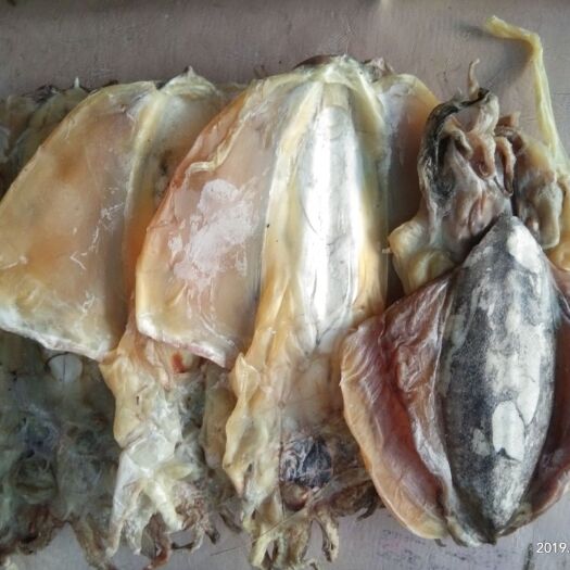 娄底墨鱼干 正宗北海铁船墨鱼 ，一斤6－8个，干度9.5成