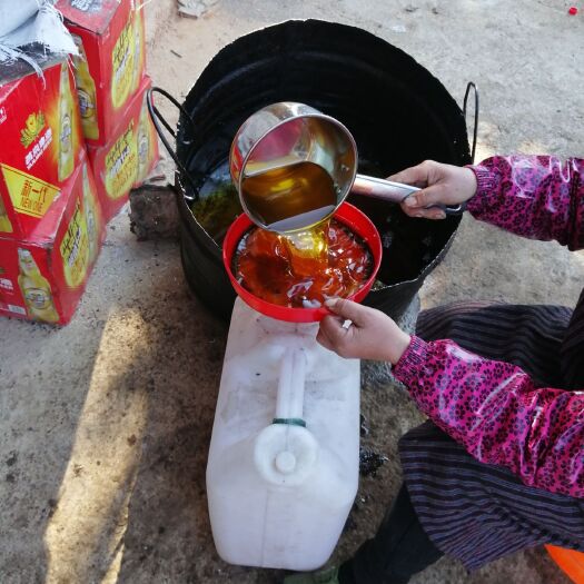 百色 天然有机山茶油出售