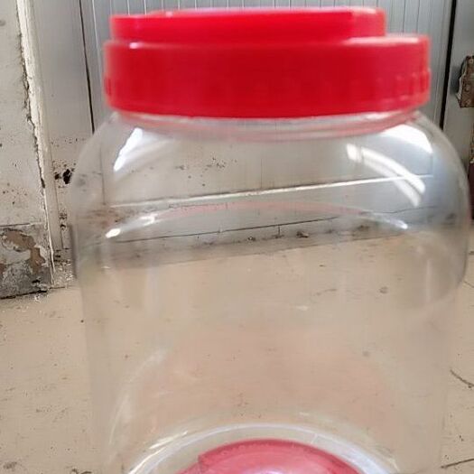 金华 鹅蛋专用桶