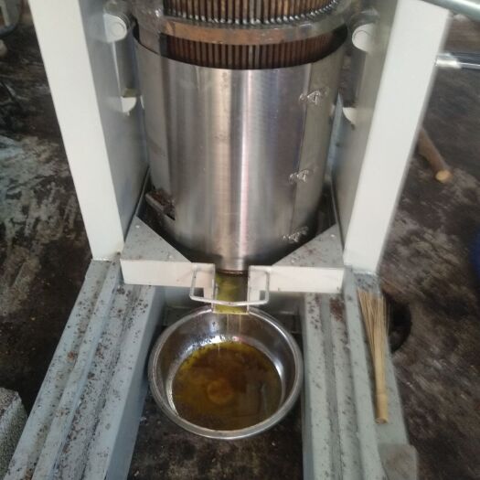 纯核桃油
