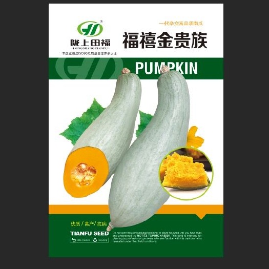 酒泉贵族南瓜种子 来自国外优质杂交南瓜品种