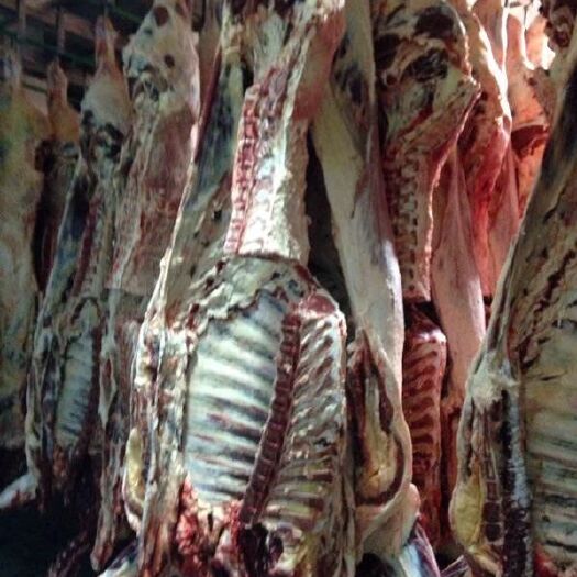  澳大利亚牛肉四分体