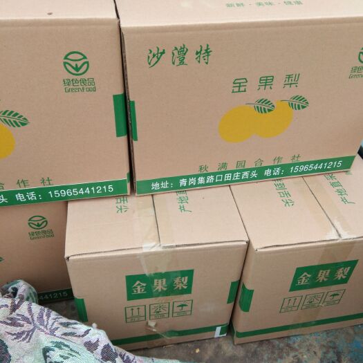 曹县金果梨 本产品可以装箱发货。