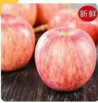 隰县 隰县红富士苹果