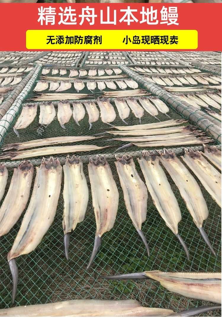  山东日照渔家自晒鳗鱼干