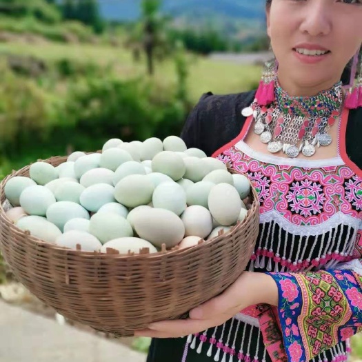 筠连县 纯粮食散养乌鸡蛋土鸡蛋