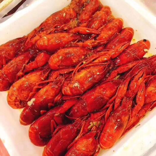 潜江市冻小龙虾  冻虾