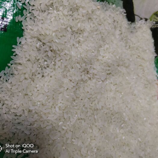 桦川县东北大米自家种的小磨有机长粒大米趴窝一号