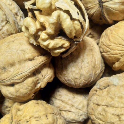 隰县 19年新货薄皮核桃临汾特产薄壳核桃散装核桃