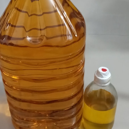 肇庆 野生白花山茶油