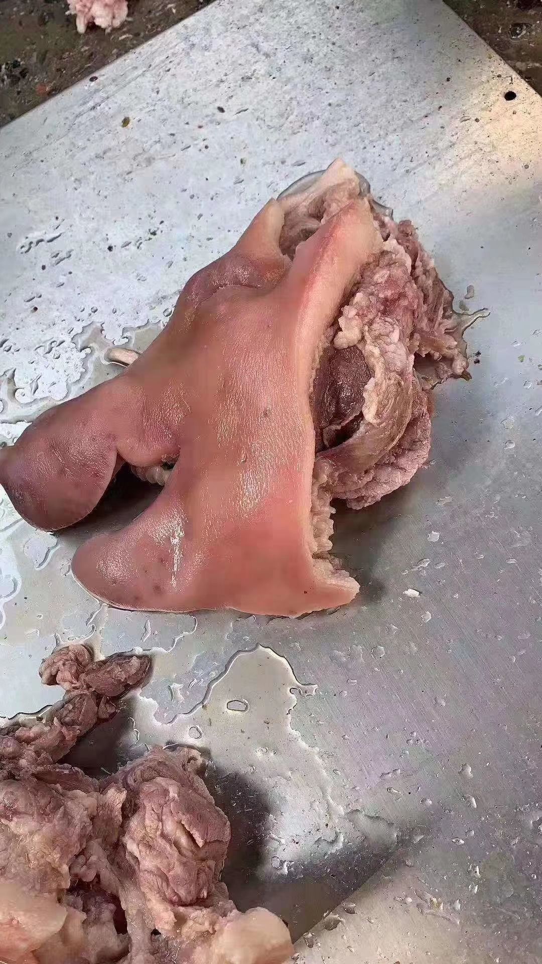 鲜猪头 无耳小半猪头
