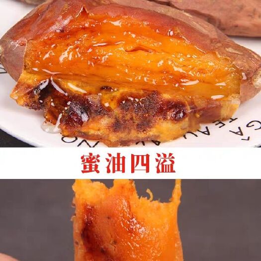 雄县 蜜薯烟薯25糖心红薯新鲜